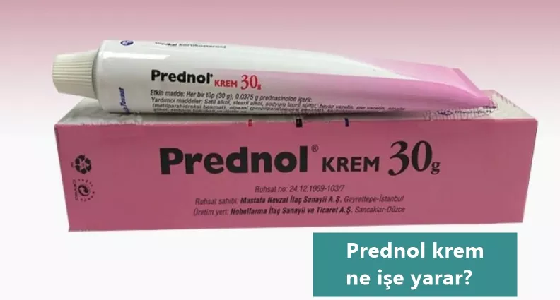 Prednol Krem Ne İşe Yarar, Nasıl Kullanılır?